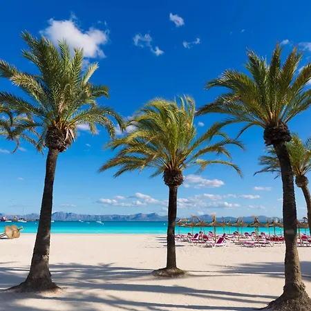 Alcudia Garden Port de Alcudia (Mallorca)